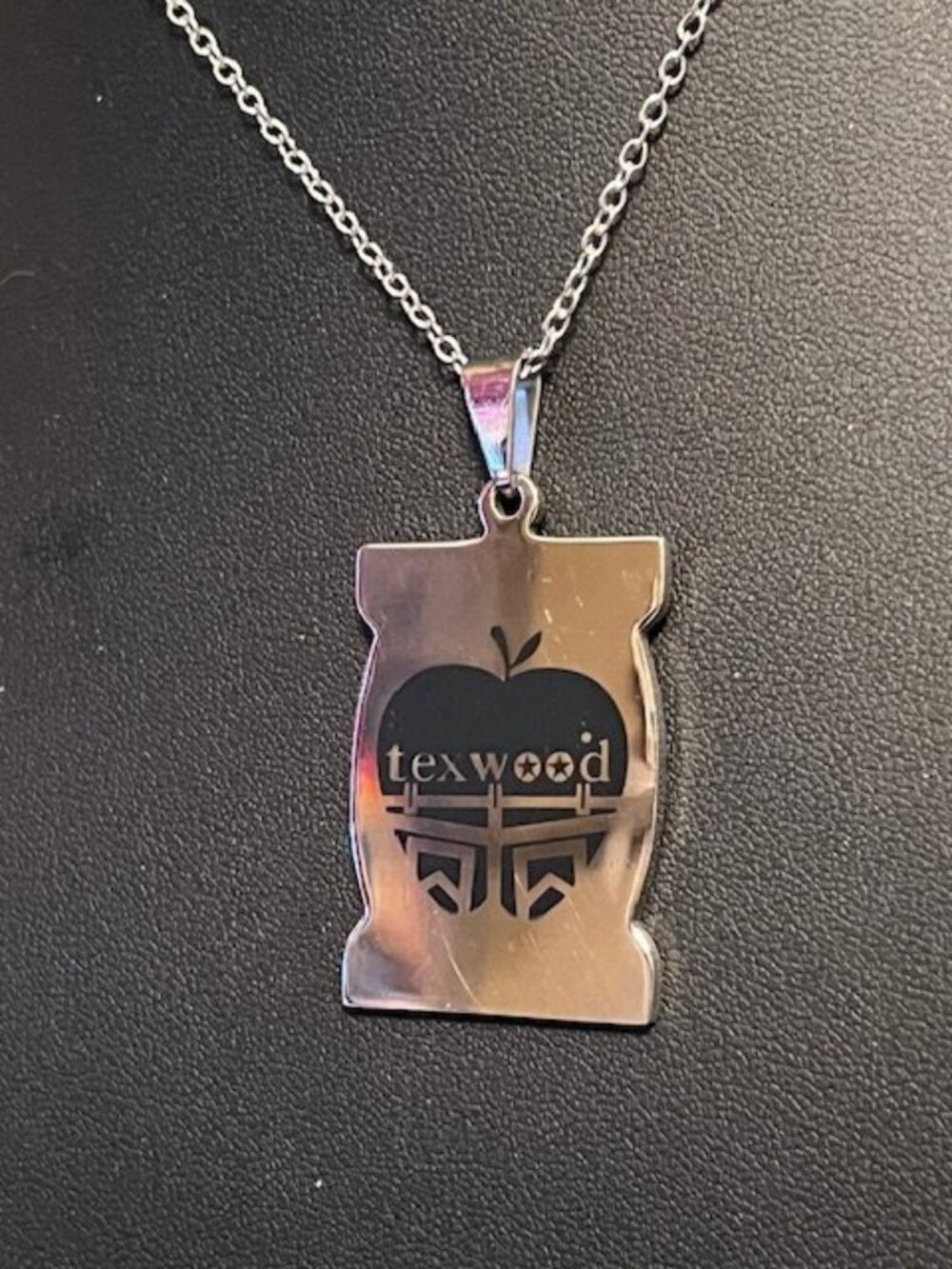 Stainless Steel Dogtag Pendant on 22" Silvertone Chain (P42)